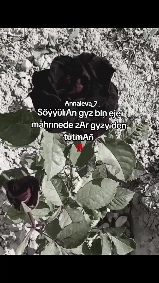 TikTok video thumbnail by annaeva_9