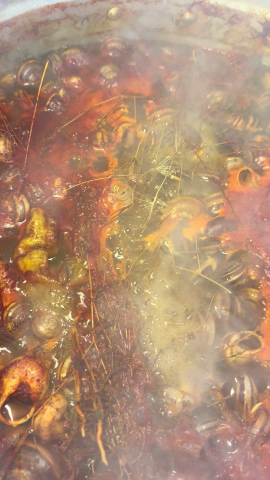 TikTok video thumbnail by maghnia.cook8