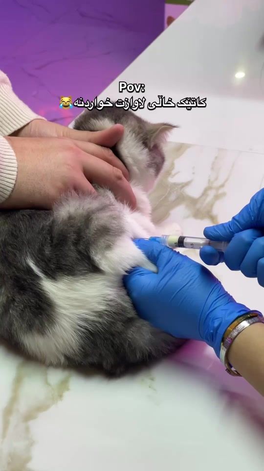 TikTok video thumbnail by dr_rayanali