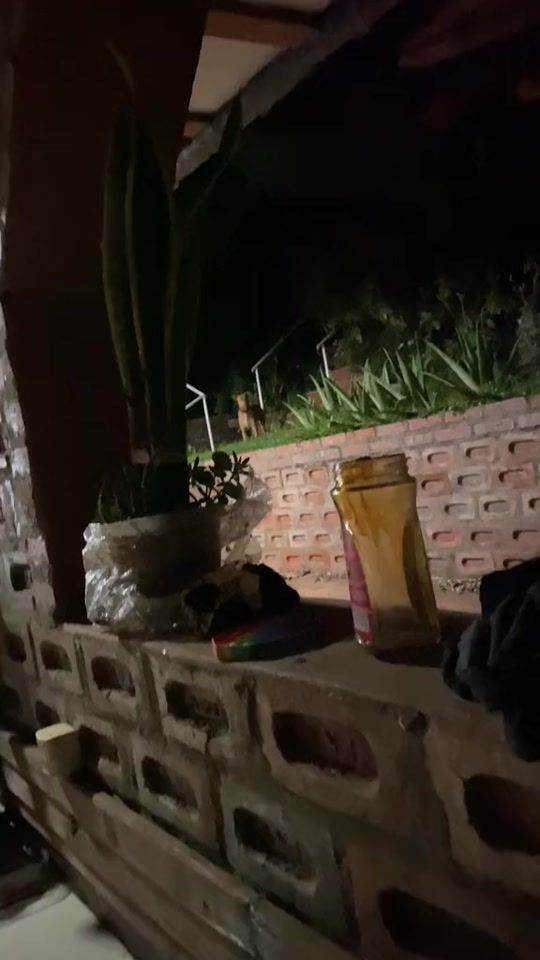 TikTok video thumbnail by fernandobaez21