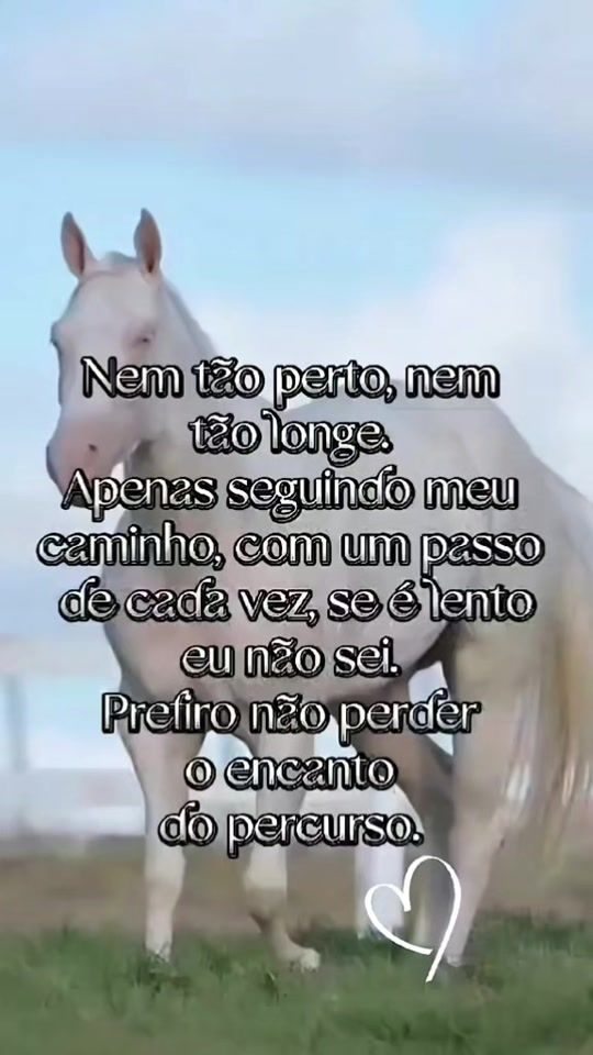 TikTok video thumbnail by estrela._sol
