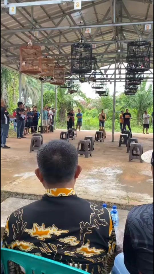 TikTok video thumbnail by tiadataratv