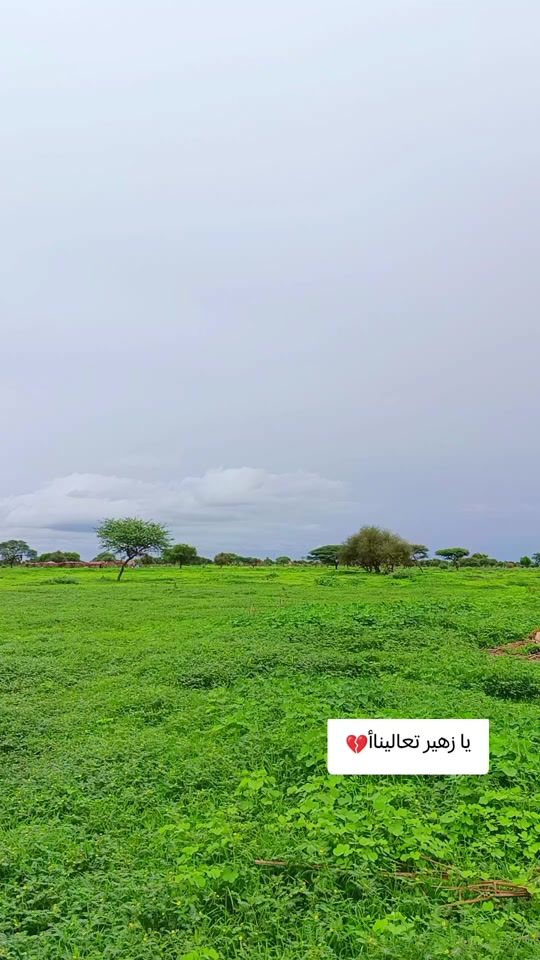 TikTok video thumbnail by abusukeen