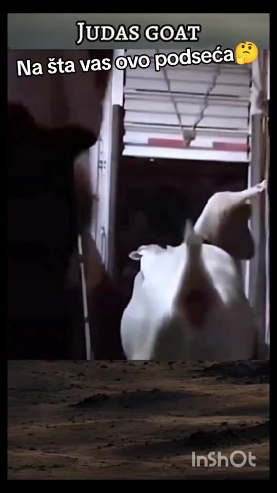 TikTok video thumbnail by mojasupa