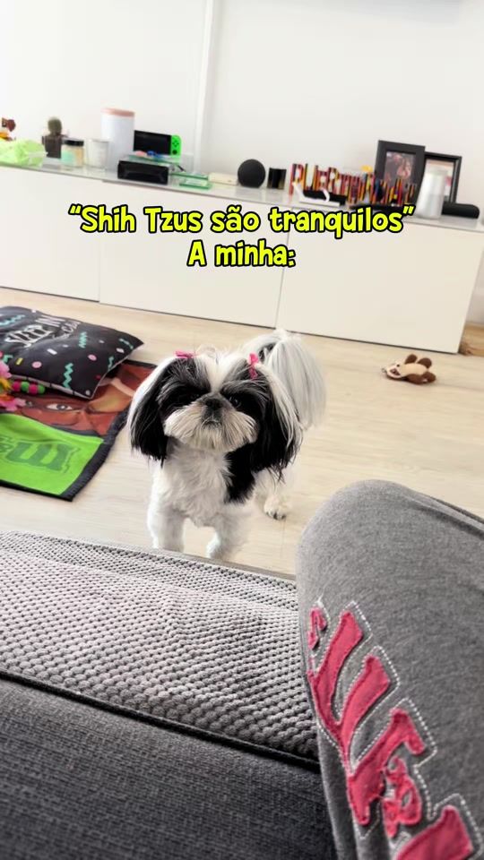 TikTok video thumbnail by falcmarina