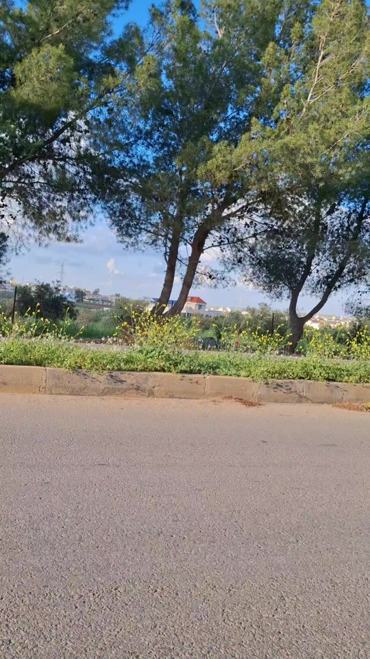 TikTok video thumbnail by talatoto36