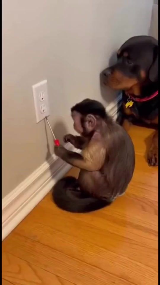 TikTok video thumbnail by tanja.tanja25