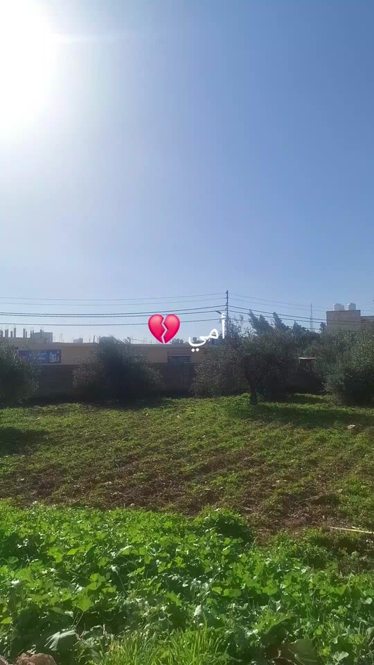 TikTok video thumbnail by _jordan523