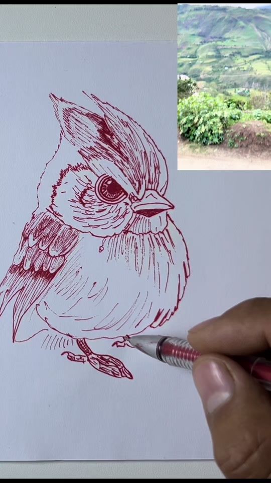TikTok video thumbnail by dibujos_esmit