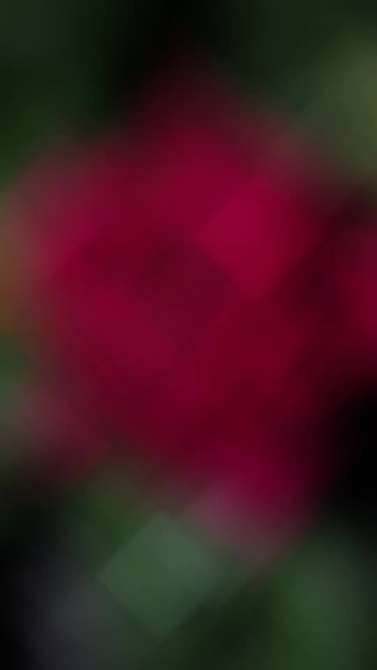 TikTok video thumbnail by gavkapetro