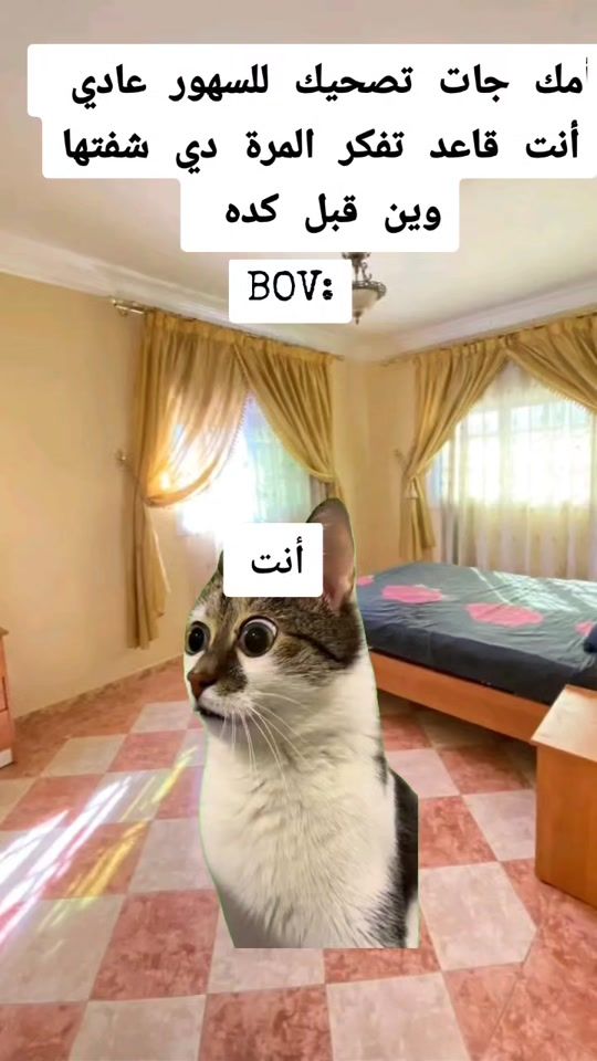 TikTok video thumbnail by prhomymax
