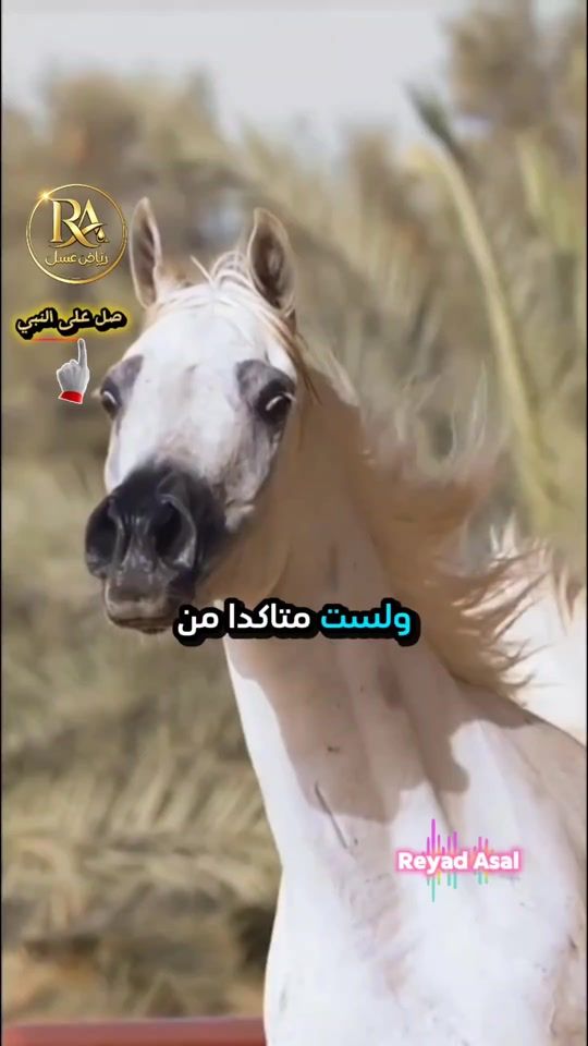 TikTok video thumbnail by resala.g