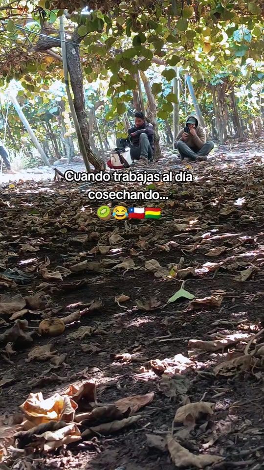 TikTok video thumbnail by angysuarezrodriguez