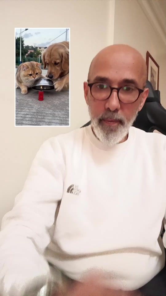 TikTok video thumbnail by lebanese_actor
