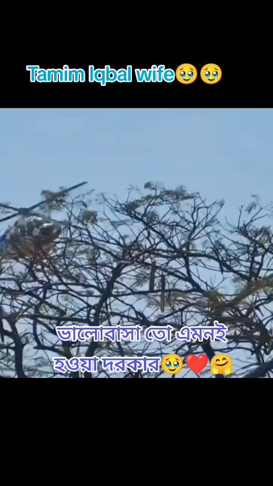 TikTok video thumbnail by user3qn46tanvir