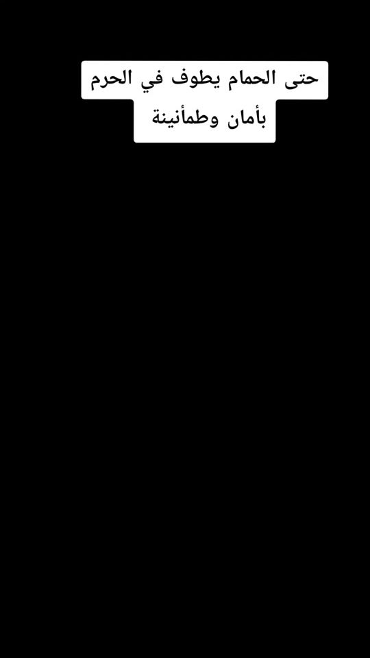 TikTok video thumbnail by bdralnablsee