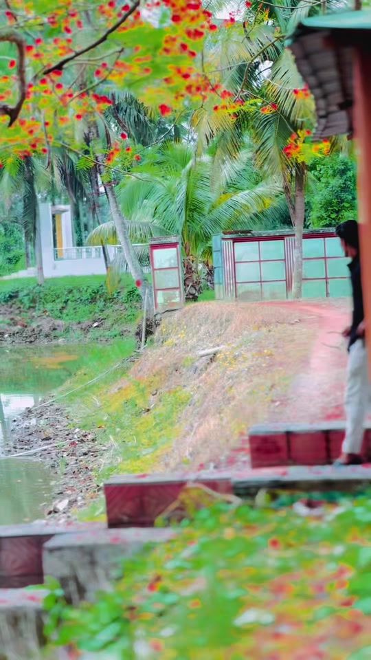 TikTok video thumbnail by focus_on_nasir