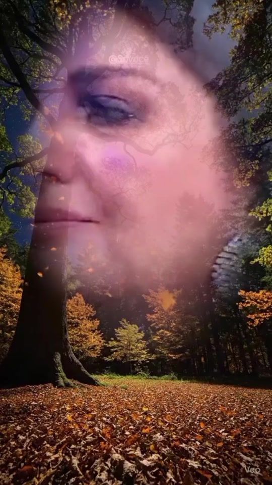 TikTok video thumbnail by dilaram439