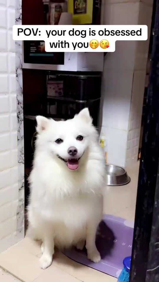 TikTok video thumbnail by cynthiascorner_