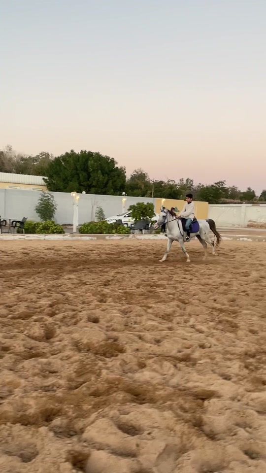 TikTok video thumbnail by xpli80