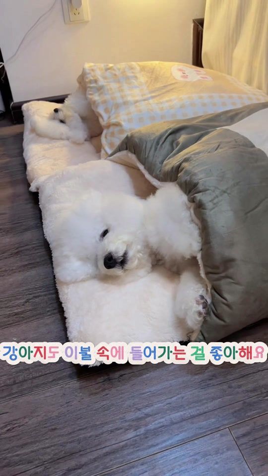TikTok video thumbnail by lll4192