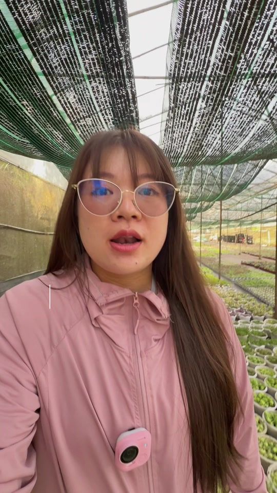 TikTok video thumbnail by hatrangnee
