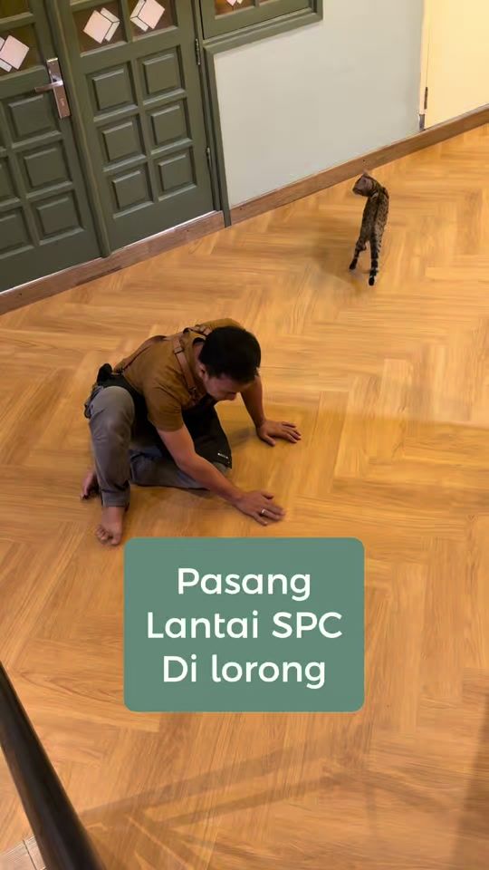 TikTok video thumbnail by dimasgepeto