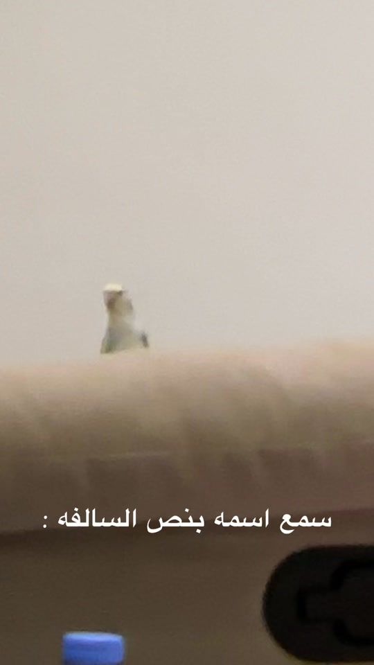TikTok video thumbnail by roseybirddiaries