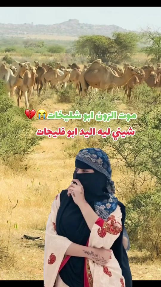TikTok video thumbnail by lfil17