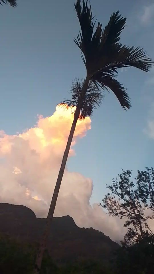 TikTok video thumbnail by user9095p3