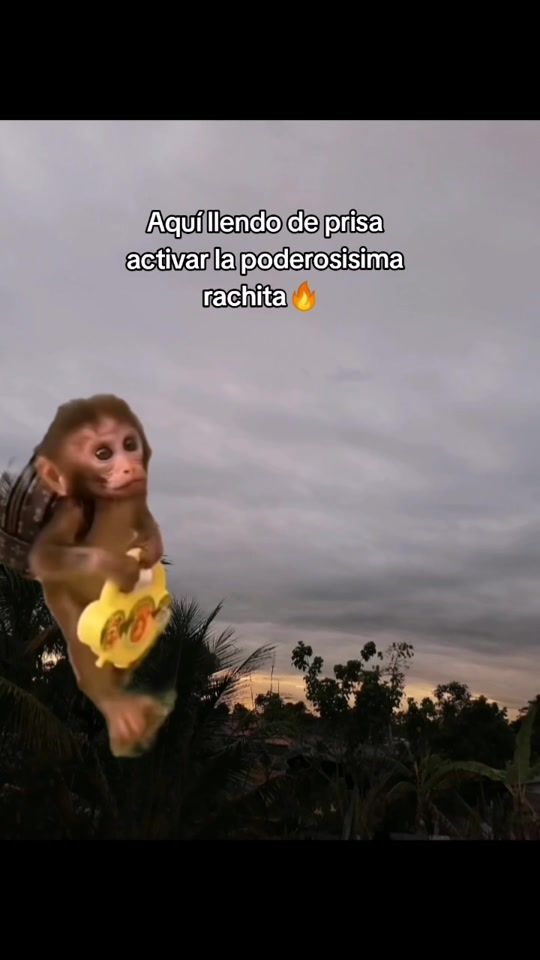 TikTok video thumbnail by milagros_12.20