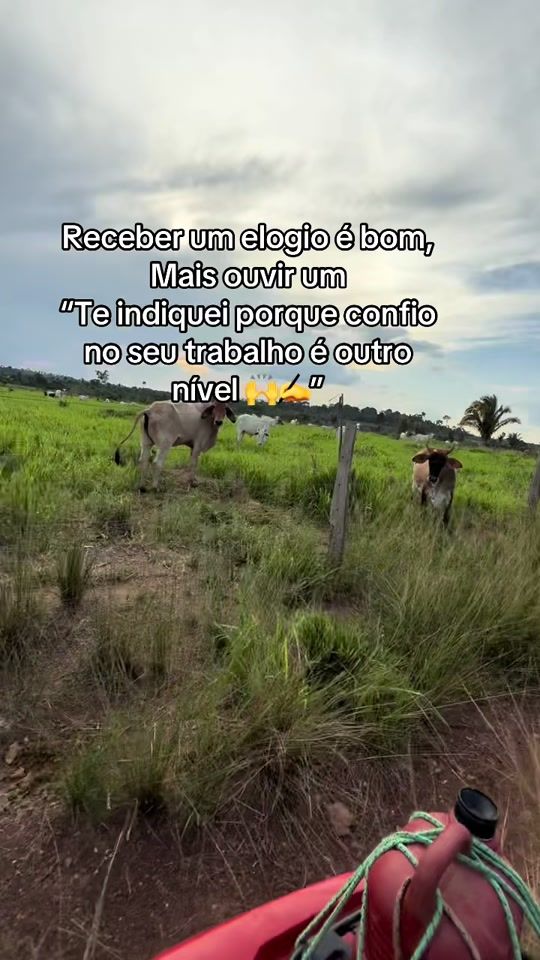 TikTok video thumbnail by rony.souza.22
