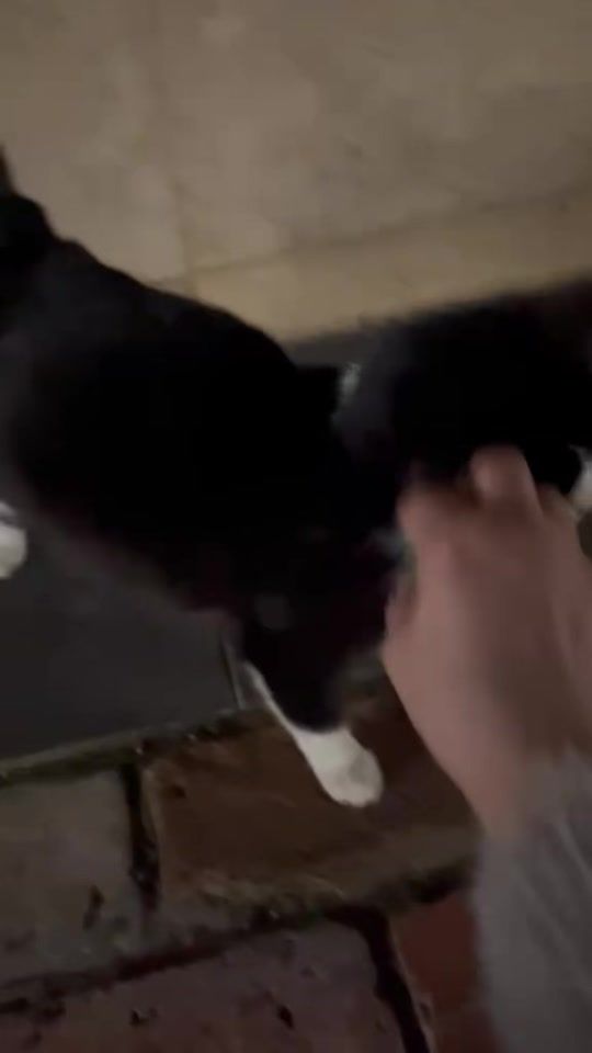 TikTok video thumbnail by luka_05