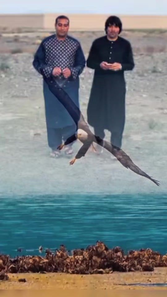 TikTok video thumbnail by king_bro028