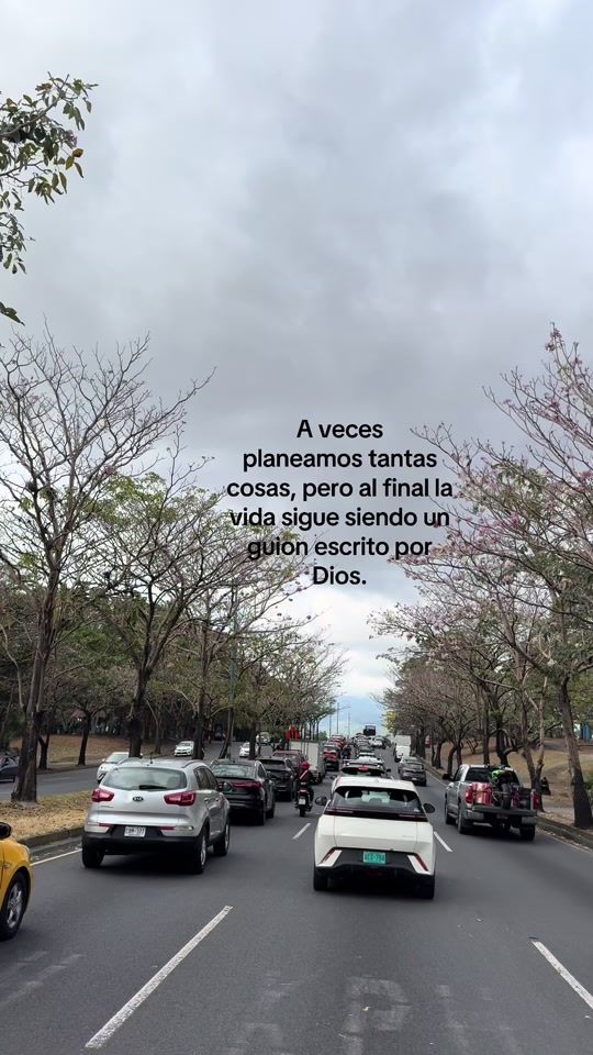 TikTok video thumbnail by jorge_hidalgo83