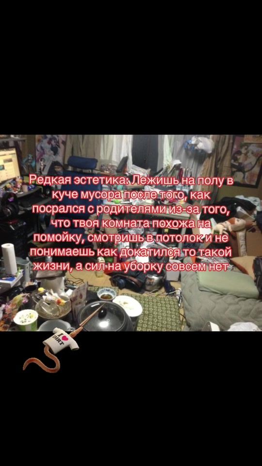 TikTok video thumbnail by coat_guy_irl