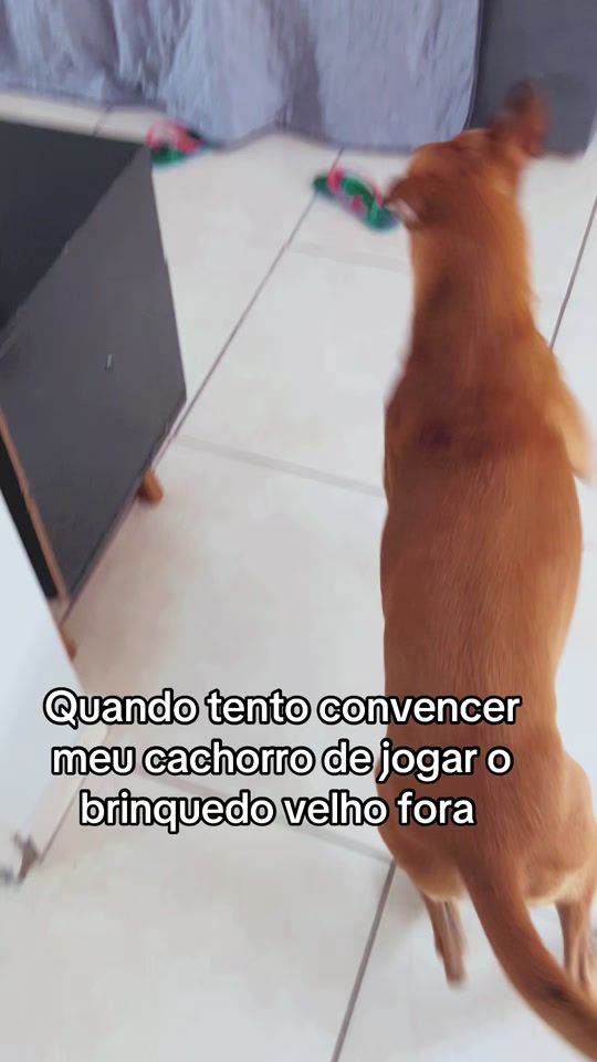 TikTok video thumbnail by marrom.debochado