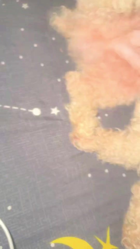 TikTok video thumbnail by vdeevid3