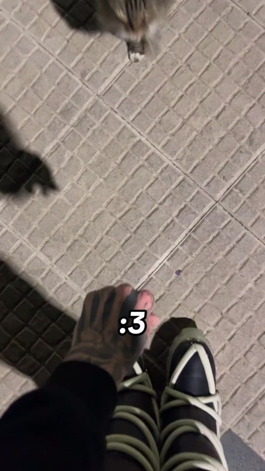 TikTok video thumbnail by egoistad6