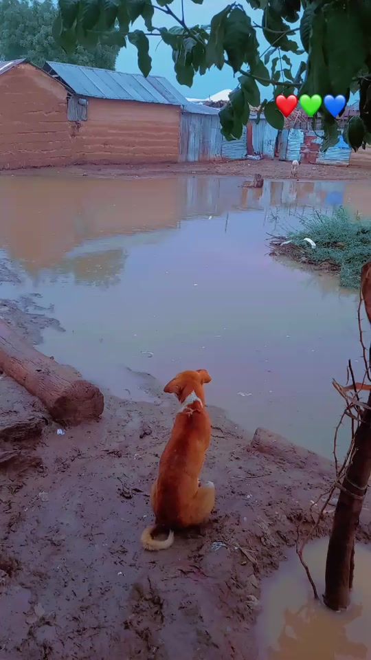 TikTok video thumbnail by wall_liite