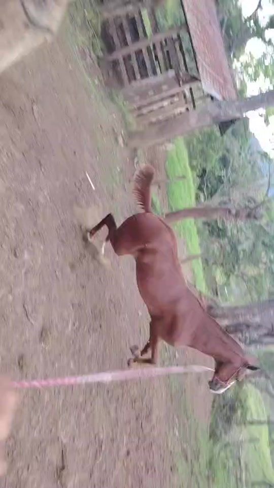 TikTok video thumbnail by garro86