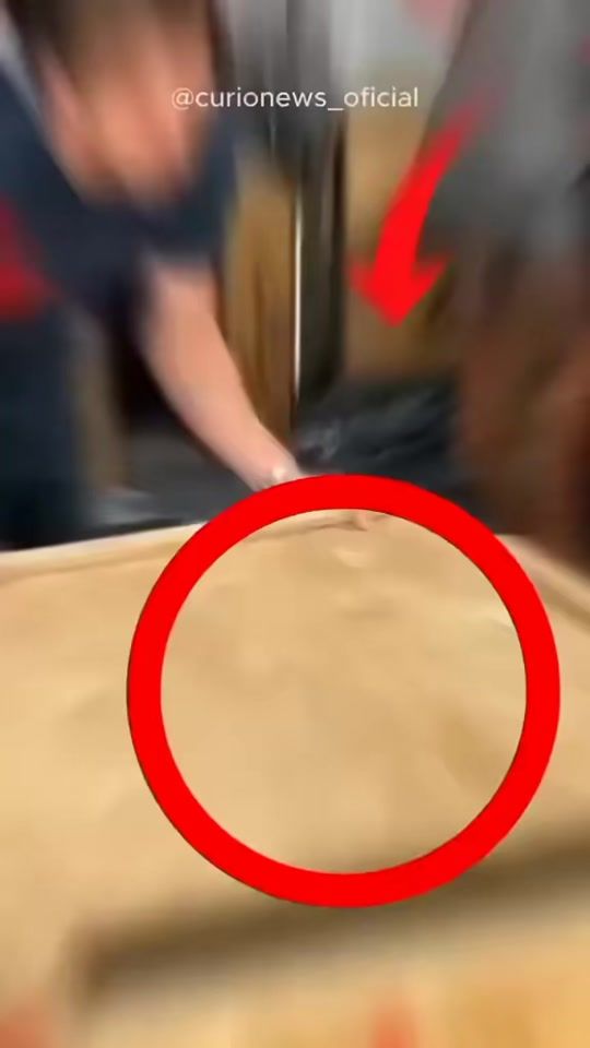 TikTok video thumbnail by petersson_br_ofc