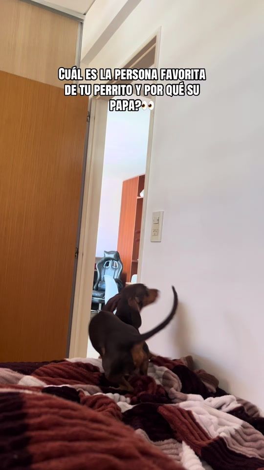 TikTok video thumbnail by losteckel