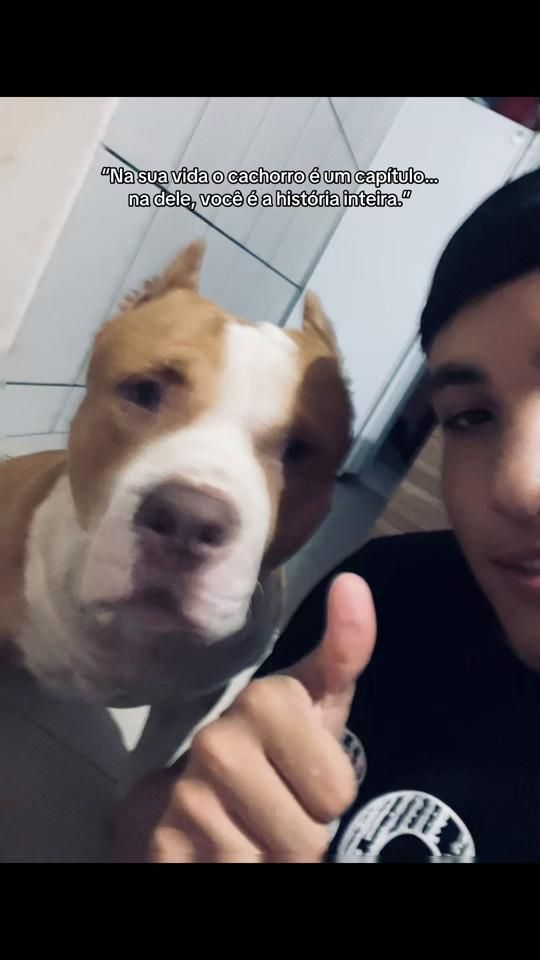 TikTok video thumbnail by carlos_coutiinho0