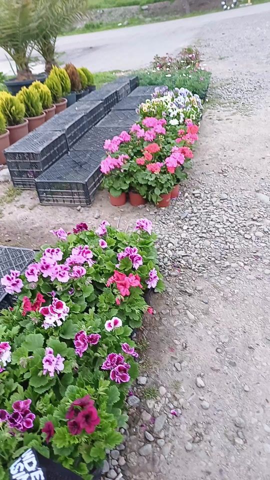 TikTok video thumbnail by tiryakinim020