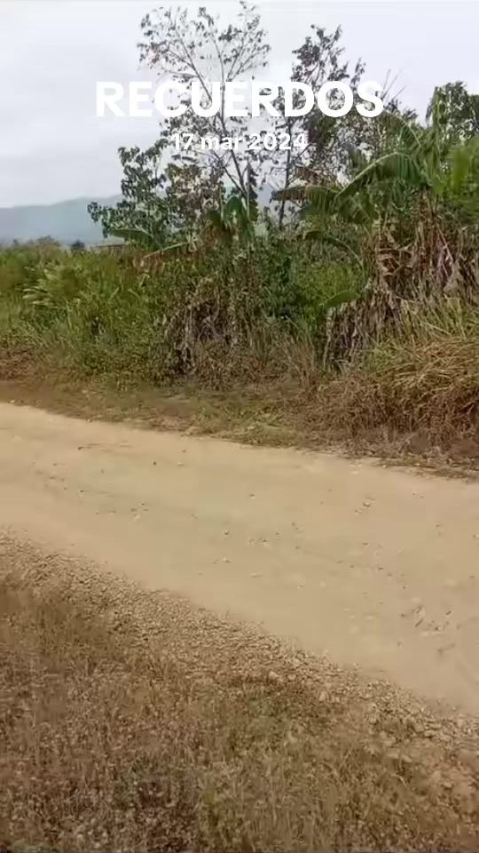 TikTok video thumbnail by alexpc_23