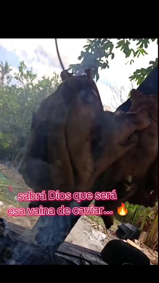 TikTok video thumbnail by mariaale_1414