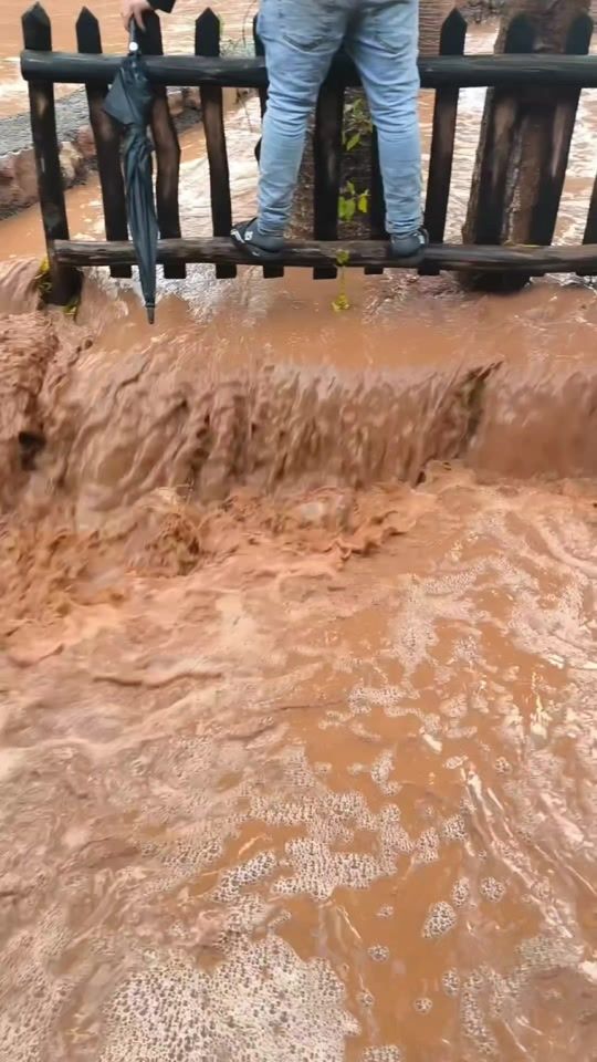 TikTok video thumbnail by realdisasterx