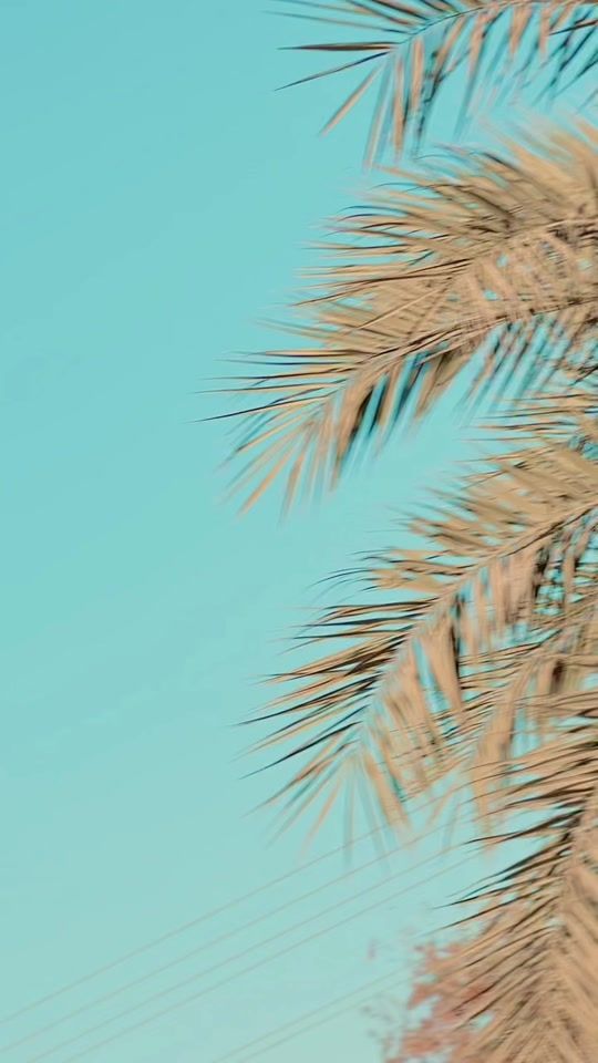 TikTok video thumbnail by call._.me_adil