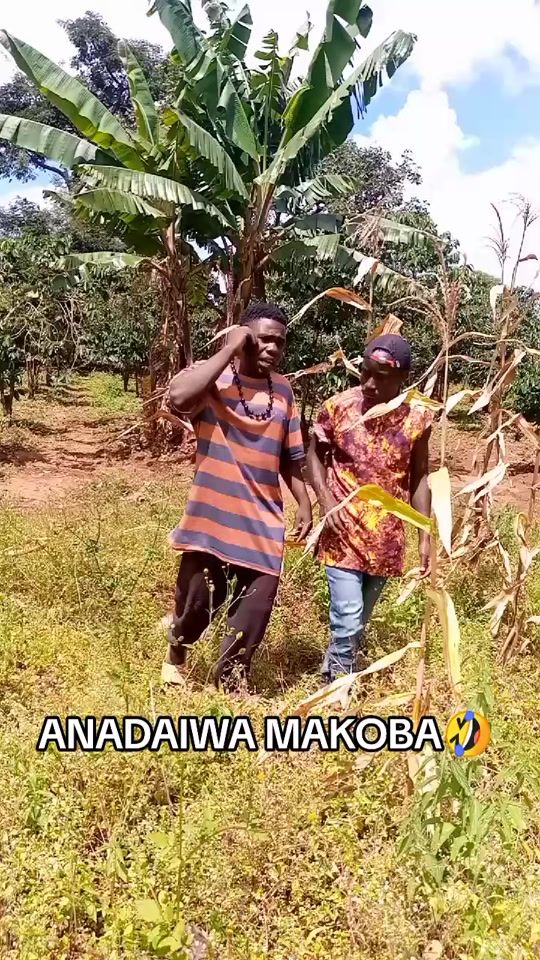 TikTok video thumbnail by mweusibrandi8